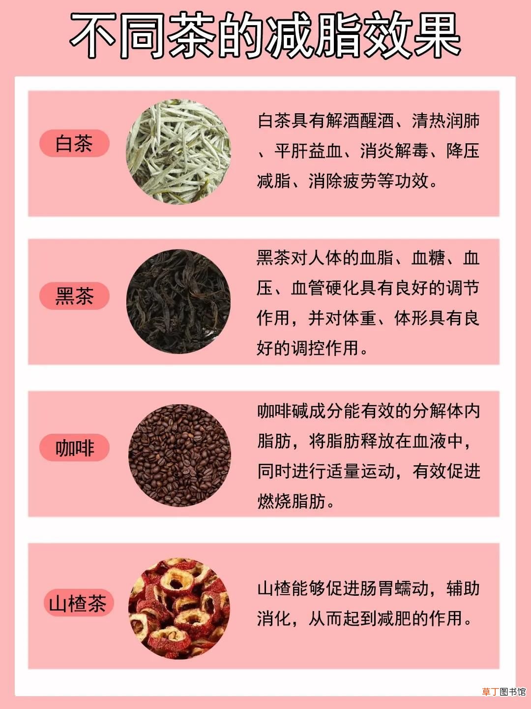 6款瘦身养颜茶 美容减肥茶