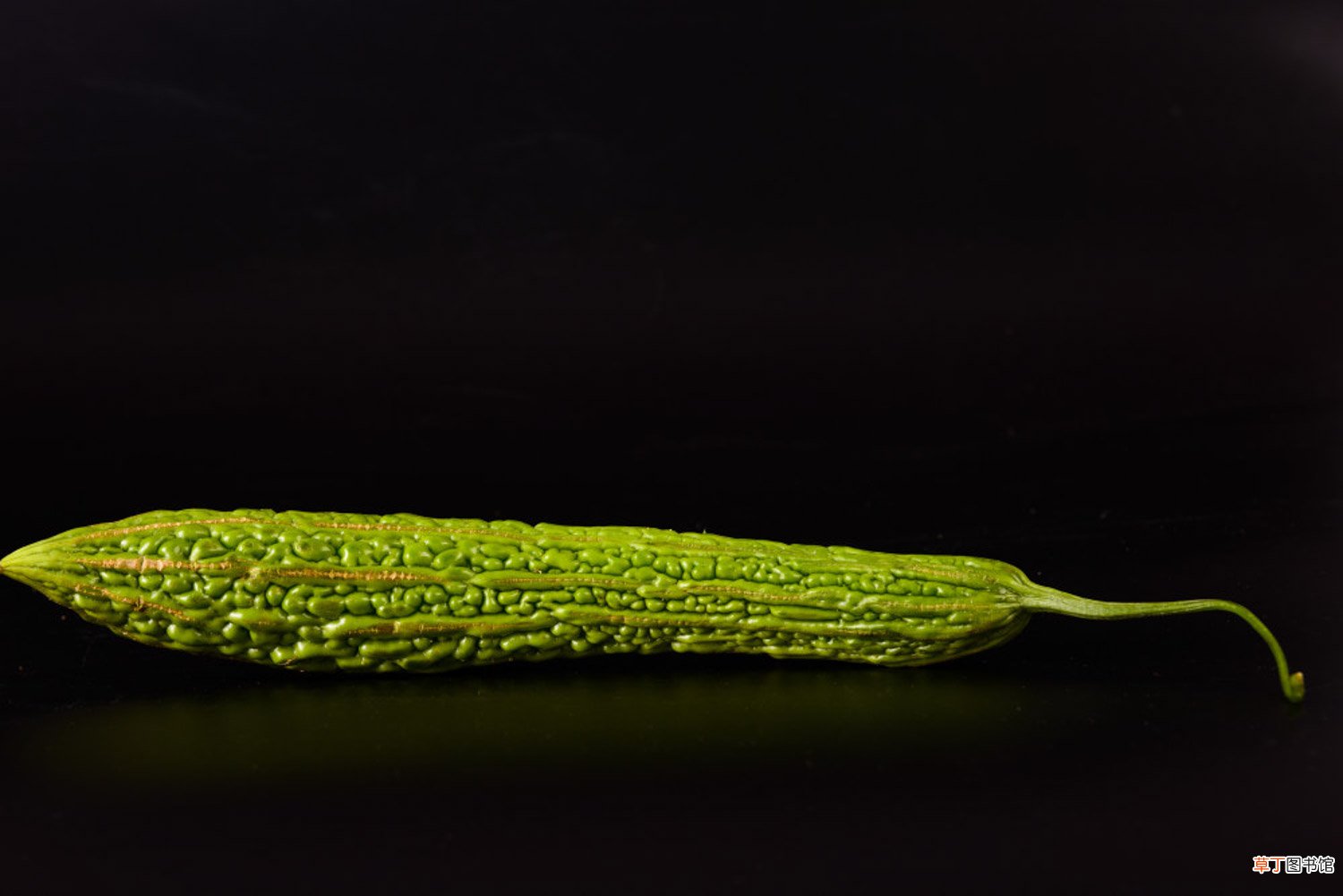 苦瓜种植技术
