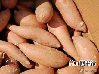为什么红薯放盐会甜点 为什么红薯是咸的