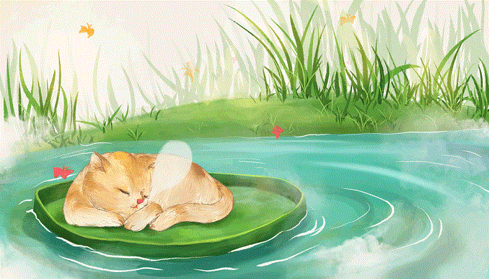 梦见大黄猫