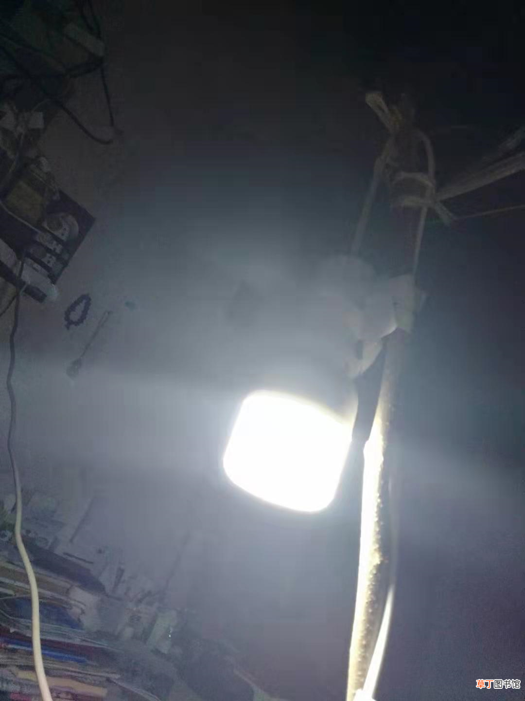 咏物诗二十一首 咏物诗大全