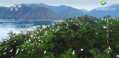 杭州千岛湖旅游攻略 千岛湖旅游攻略
