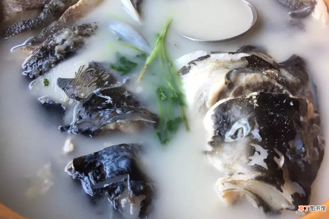 杭州千岛湖旅游攻略 千岛湖旅游攻略