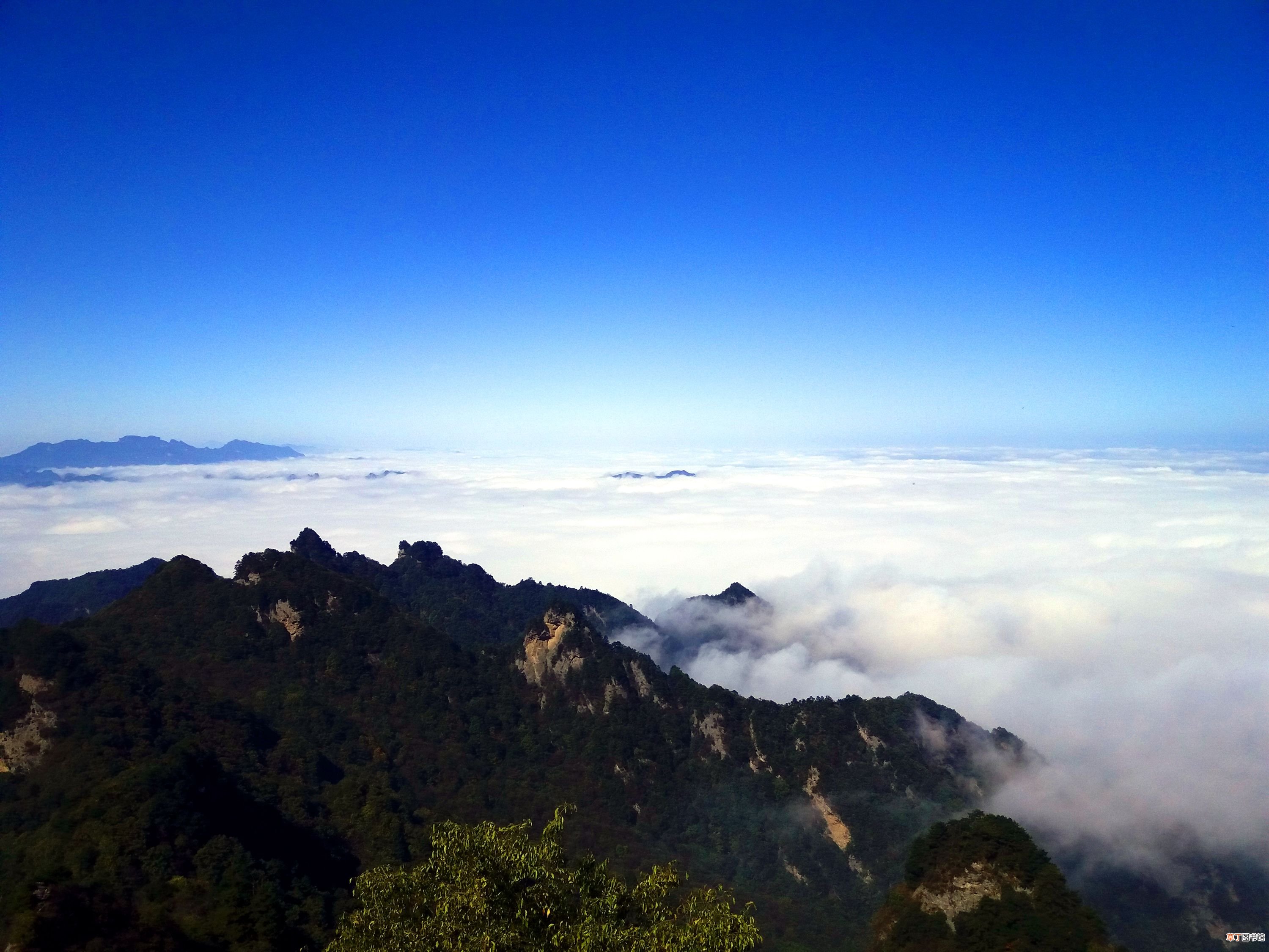 武当山旅游 武当山旅游攻略