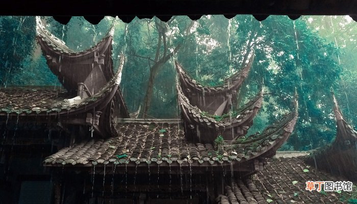 梦见被大雨淋