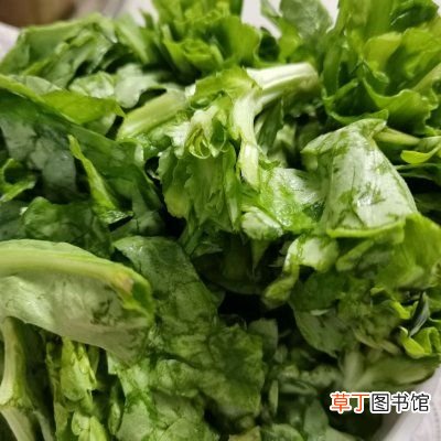茼蒿炒鸡蛋(茼蒿炒鸡蛋家常做法）