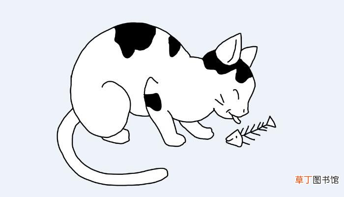 梦见猫吃鱼