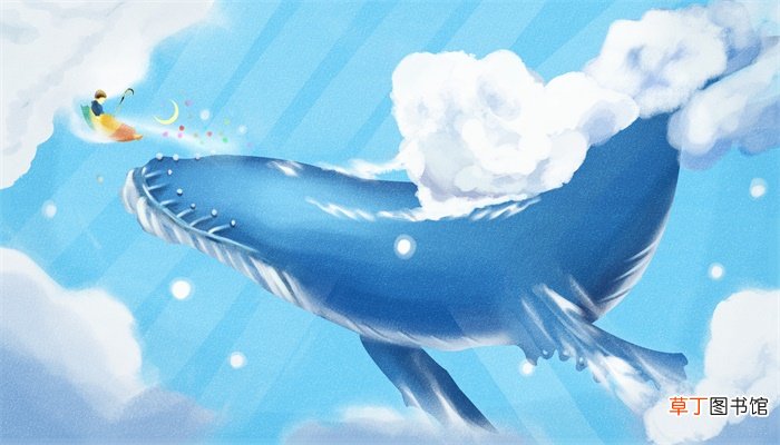 梦见鱼在天上飞