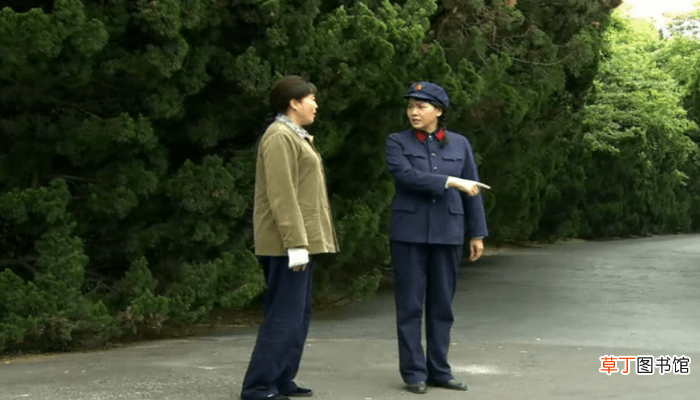 门第里的马小龙结局门第里的马小龙结局是