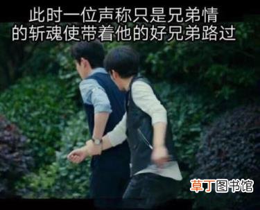为什么基佬火了百合没火 为什么反对同性恋
