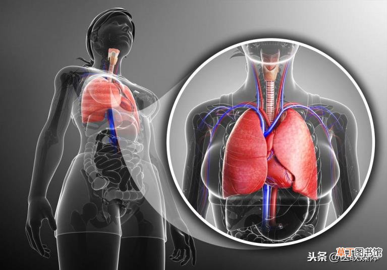 人好好的吐血怎么回事 人为什么吐血