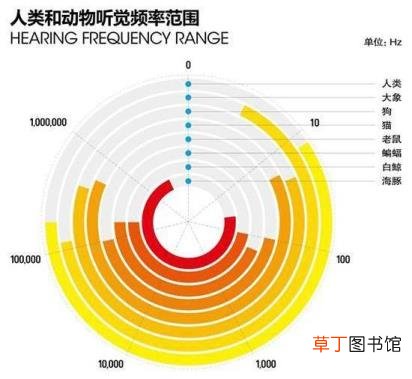 狗为何吼叫 狗为什么爱叫