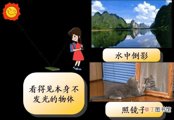 狗为何吼叫 狗为什么爱叫