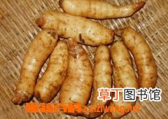 鲜野生天麻怎么吃