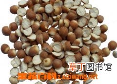 芡实的功效与作用及食用方法