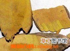 功劳木的功效与作用