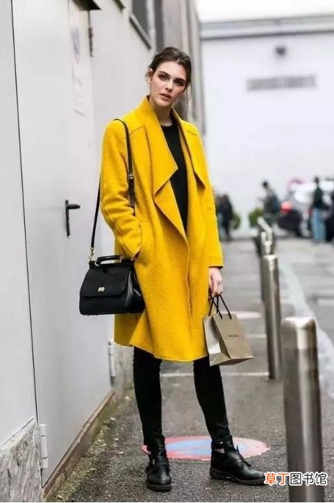 姜黄的最佳搭配颜色墨绿色