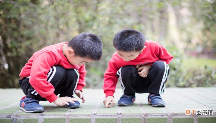 梦见双胞胎男孩