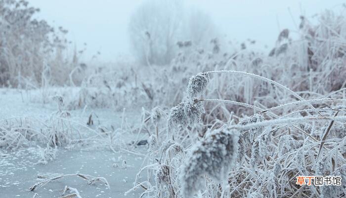 梦见大雪