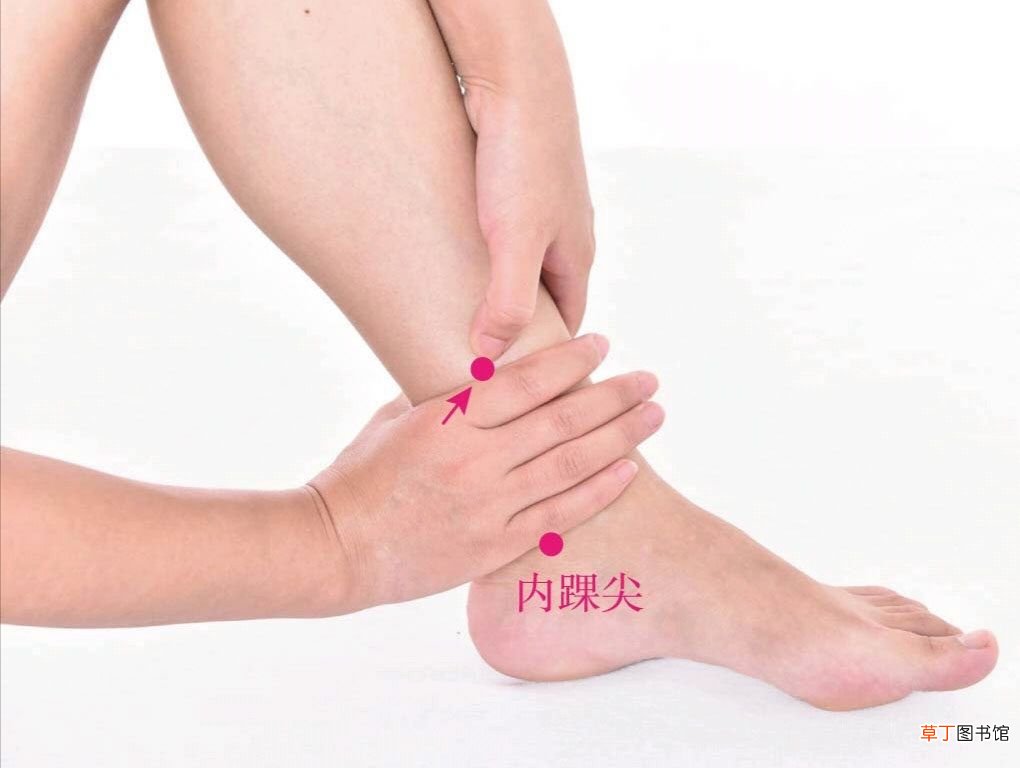 六脉道中医经穴系列——三阴交 三阴交穴位