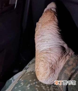 脚泡红了好不好 为什么脚会红