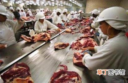 阿根廷牛肉怎么样 美国牛肉为什么便宜