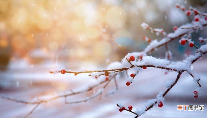 孕妇梦见下雪