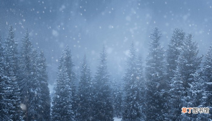 孕妇梦见下雪