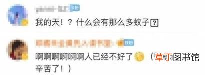 一巴掌竟拍死100多只蚊子！核技术都不能让蚊子＂断子绝孙＂?