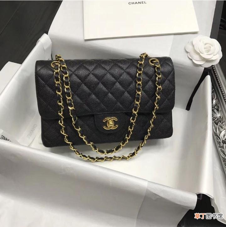 channel是什么品牌