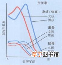 为什么人老了骨骼变大 为什么骨骼大