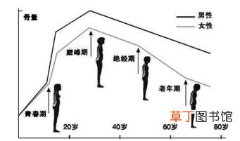 为什么人老了骨骼变大 为什么骨骼大
