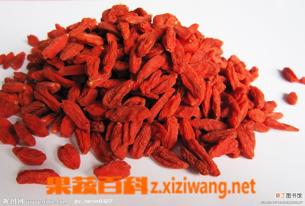 枸杞子泡水喝的禁忌