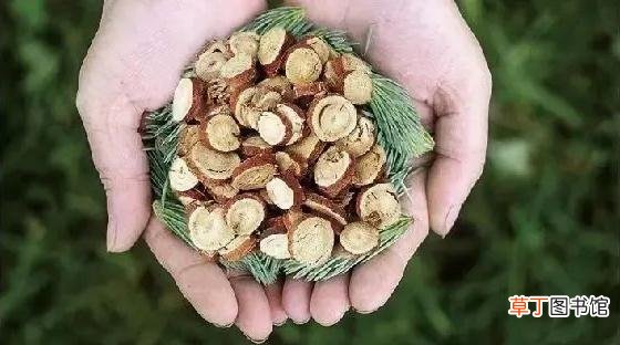 光果甘草对皮肤的作用
