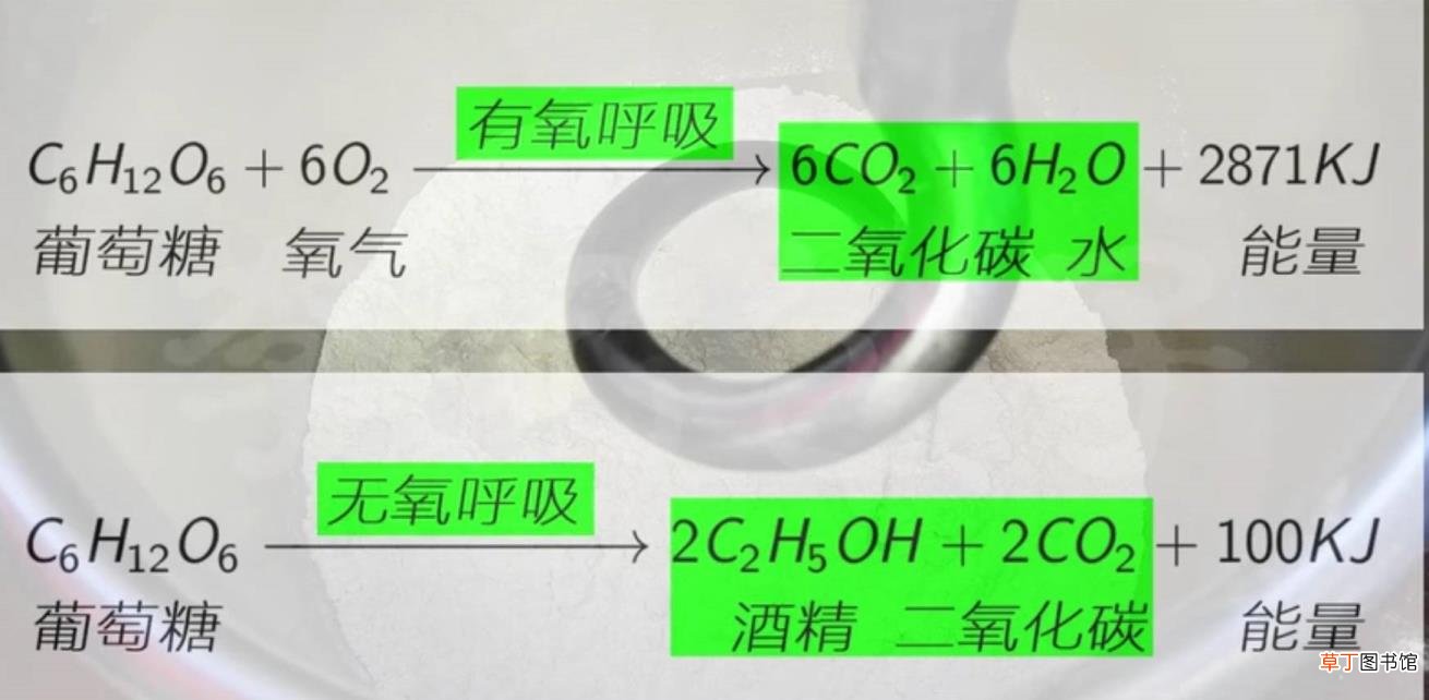 面粉为何发酵不起来 为什么发酵不起来