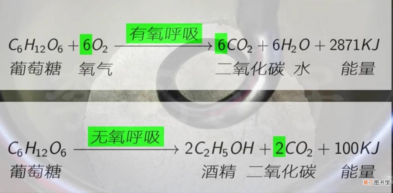 面粉为何发酵不起来 为什么发酵不起来