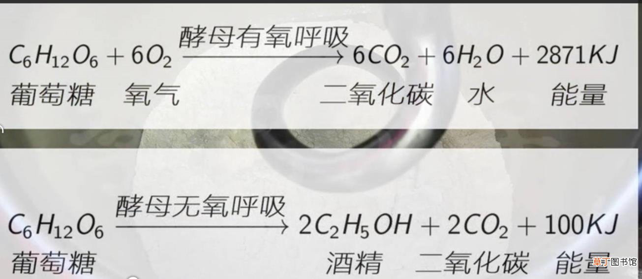 面粉为何发酵不起来 为什么发酵不起来