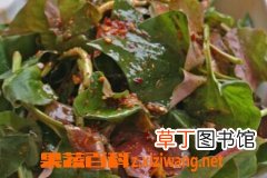 鱼腥草的叶子怎么吃