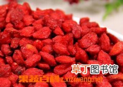 枸杞子怎么吃 枸杞子吃法技巧