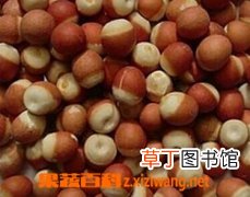芡实的作用与功效