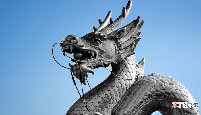 女人梦见一条大黑龙