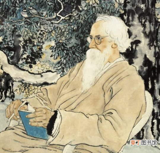 天才泰戈尔 泰戈尔简介