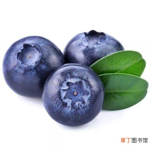 蓝莓的营养价值和功效 蓝莓为什么那么贵