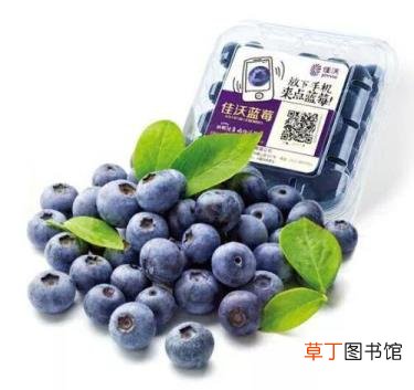 蓝莓的营养价值和功效 蓝莓为什么那么贵