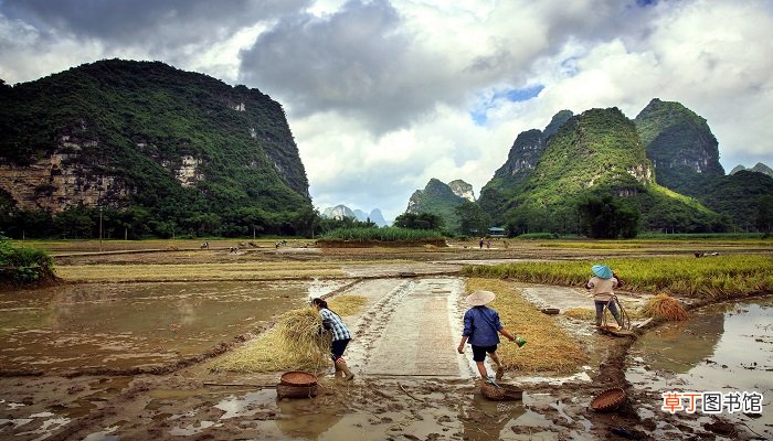 梦见和别人挖土干活