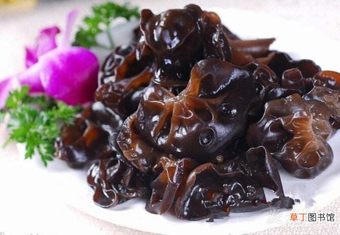 黑木耳功效和作用! 木耳的功效!