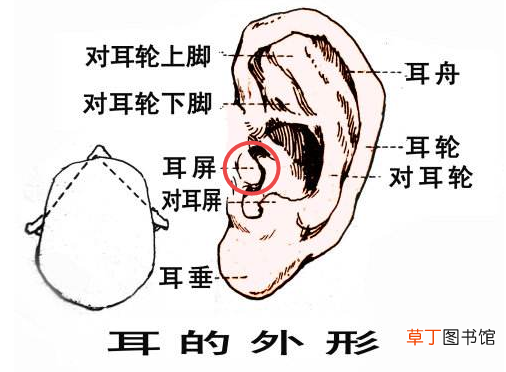 假声怎么发出？ 假声怎么练