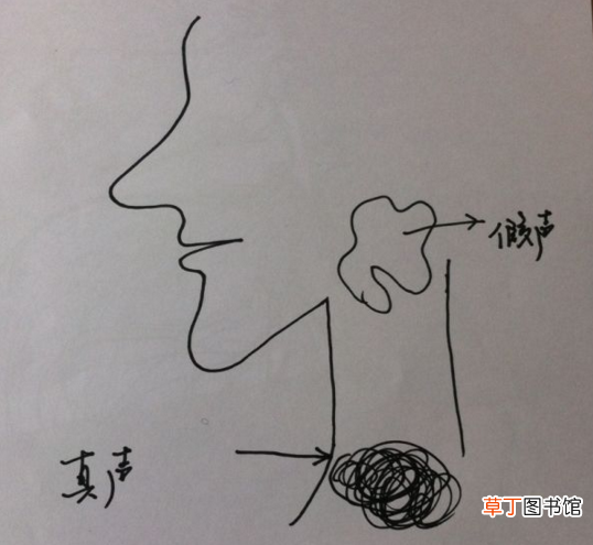 假声怎么发出？ 假声怎么练