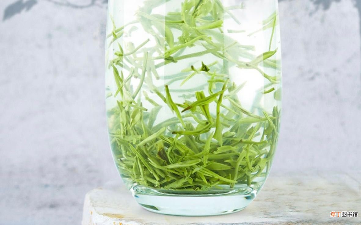 春季饮茶选哪种？ 春天喝什么茶