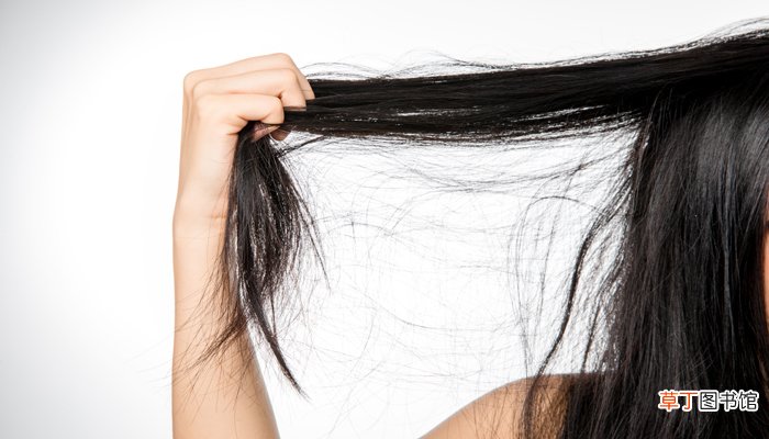 梦见掉头发